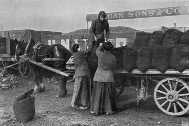 石炭労働者としての女性、戦争局の写真、1916